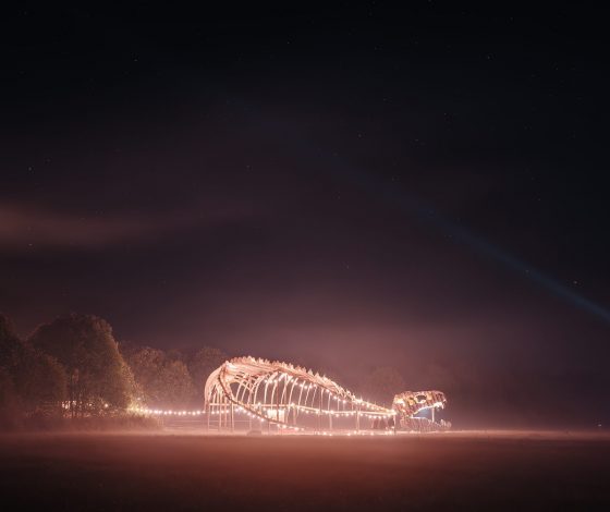 Signal – 2024: рассказываем о полном лайн-апе фестиваля