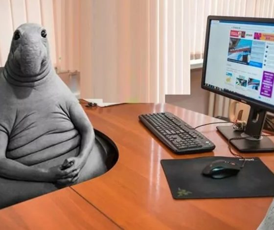 Топ вещей, которые были очень популярны, но мы про них забыли