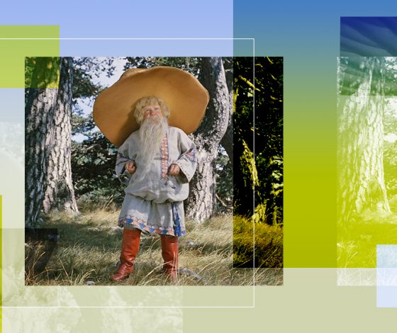 Что удивительного мы знаем о грибах и какие грибы лучше добавить в рацион осенью?