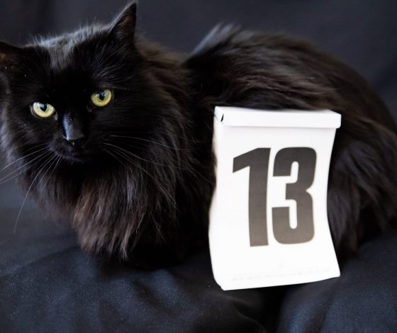 Пятница 13-го: чего ждать и опасаться в этот день