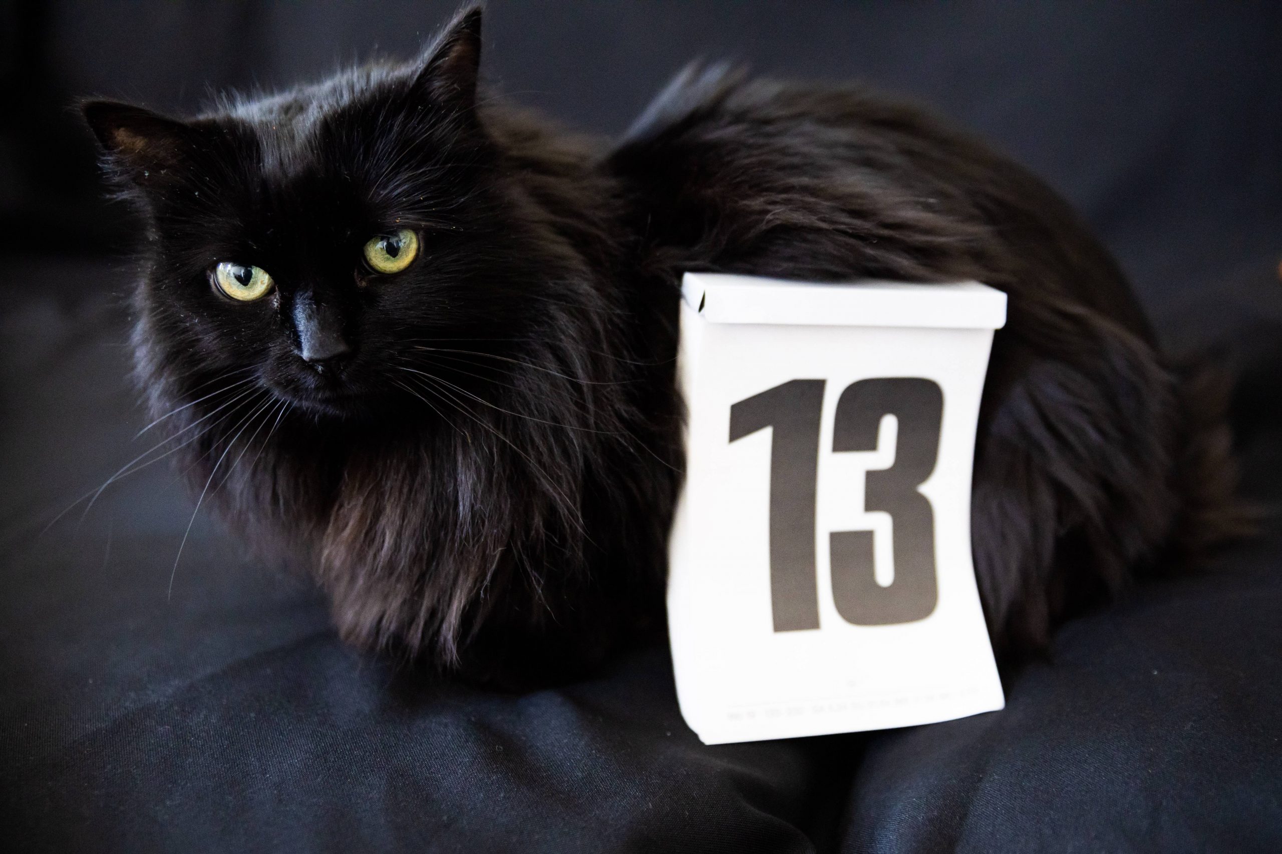 Friday the 13th: What to watch out for on this day?