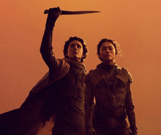 Тест: насколько хорошо ты знаешь факты о пустынях?