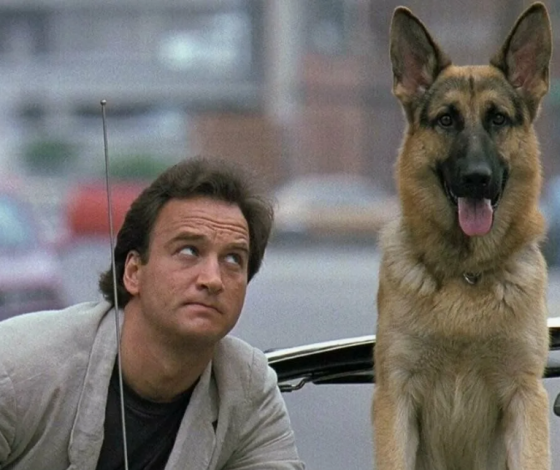 Индийский миллионер оставил почти все состояние своей собаке