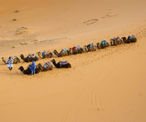 Пустыню Сахару затопили ливни. Смотри видео