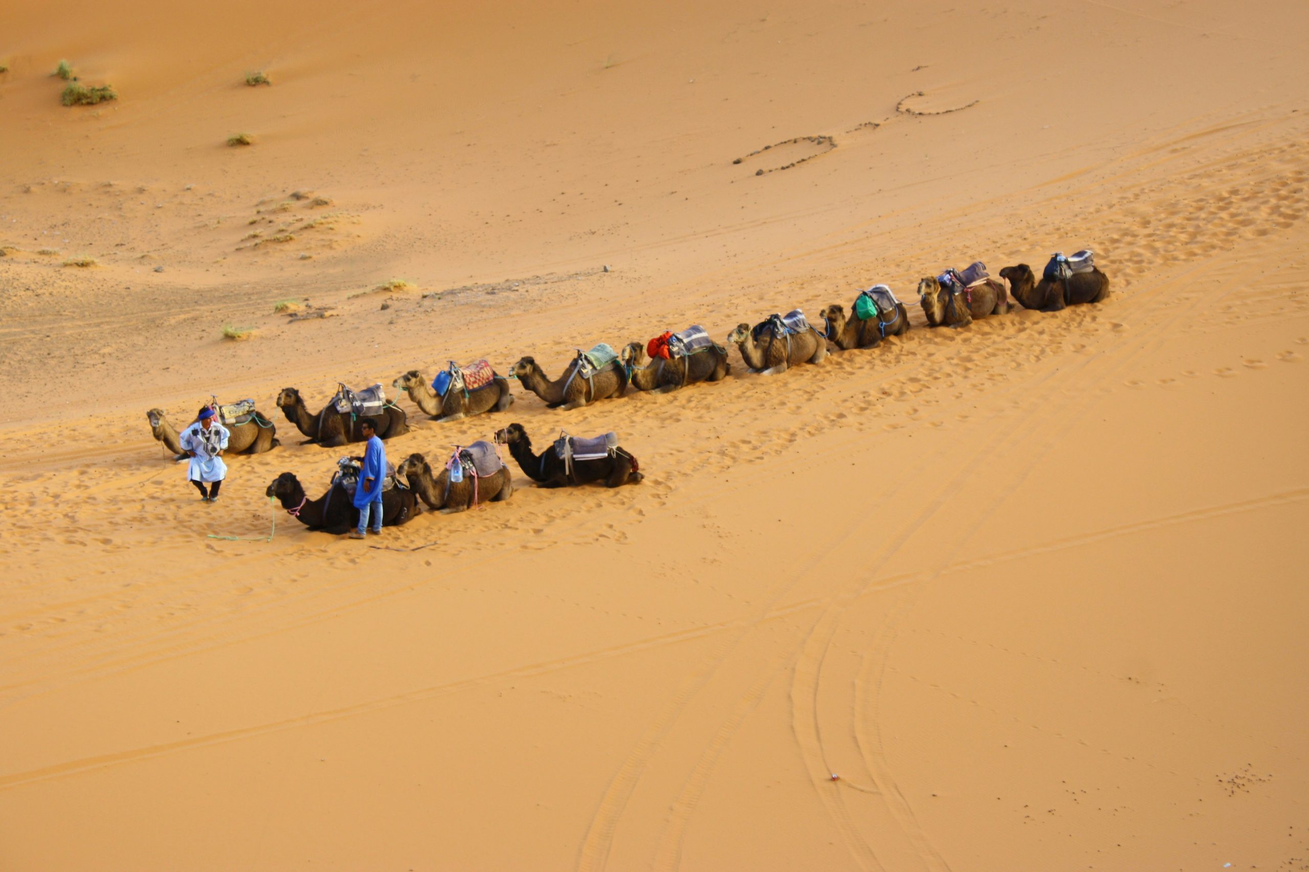 The Sahara Desert was flooded due to heavy rains. watch video