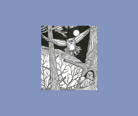 Японский тест «ночная сова»: найди спрятанные предметы на картинке