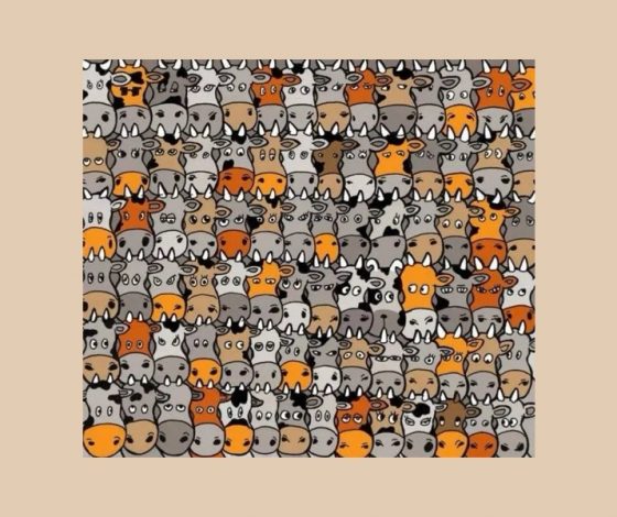 Тест на внимательность: сколько собак изображено на картинке?