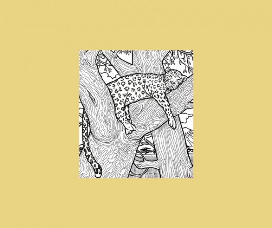 Японский тест «ягуар на дереве»: найди 4 предмета на картинке