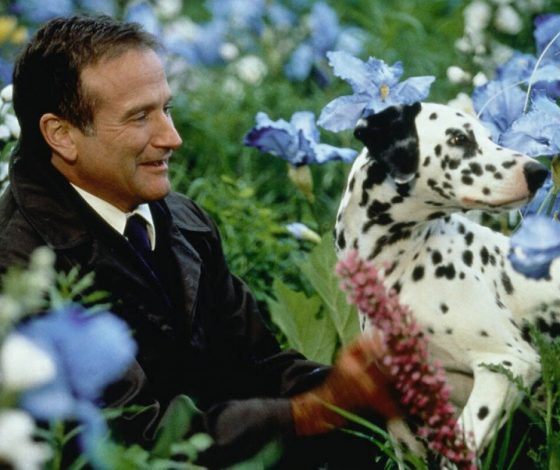 Топ-7 фильмов и сериалов, чтобы погрустить