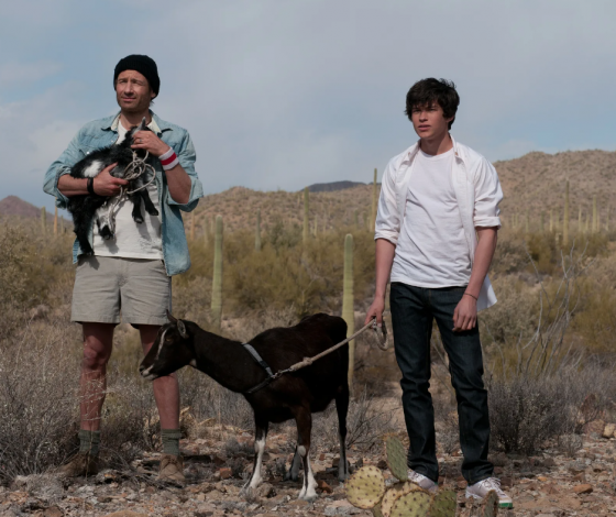 Суд запретил пенсионеру пасти коз в Южном Бутово: видео