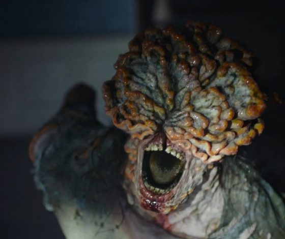 Гриб из сериала «Одни из нас» может стать новым лекарством от рака