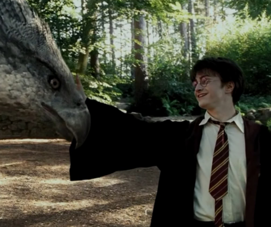 Клювокрыл и Добби из оригинальных фильмов о Гарри Поттере вернутся в новую киноадаптацию