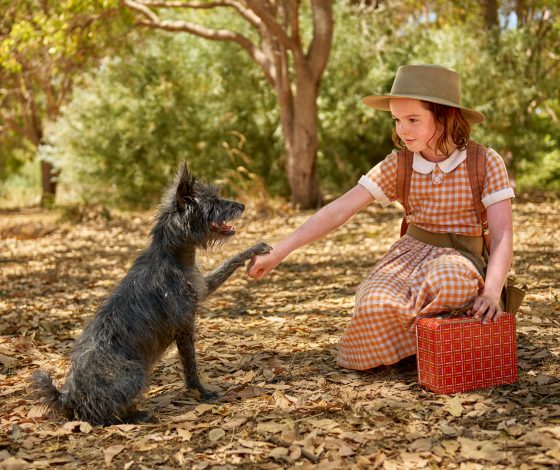 Показываем трейлер  фильма «Мой любимый двортерьер»