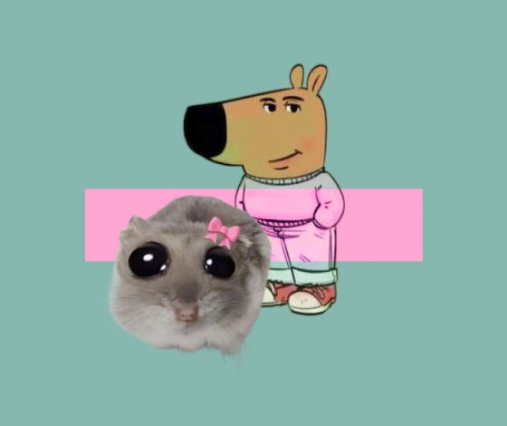 10 самых популярных мемов 2024 года, заставивших всех смеяться