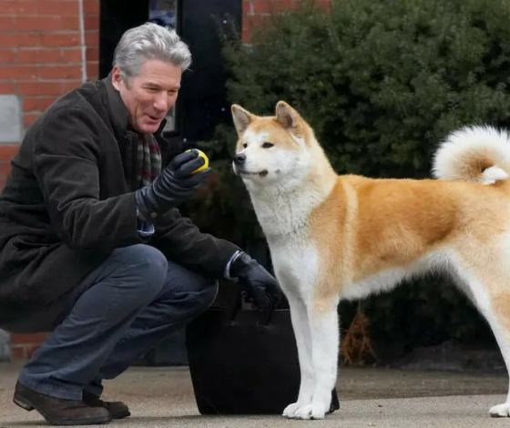 Собаки впервые заговорили с людьми с помощью звуковых панелей