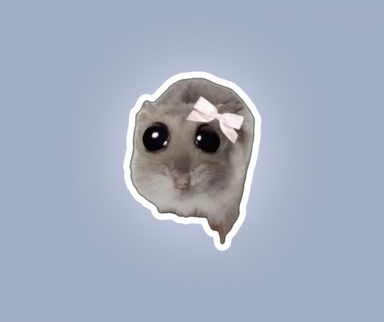 Тест: какой ты мем из 2024 года?