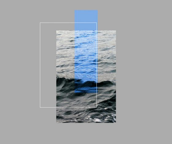 Стань волонтером на Черном море: как помочь после экологического бедствия