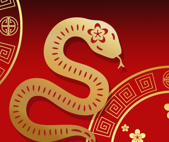 Китайский гороскоп на 2025 год: что ждет знаки зодиака?