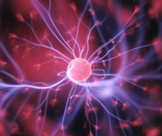 Нейропсихологи подтвердили существование загробного мира