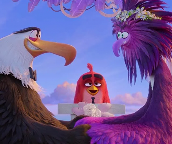 Любят дружить и поболтать: раскрыты неожиданные факты о поведении птиц