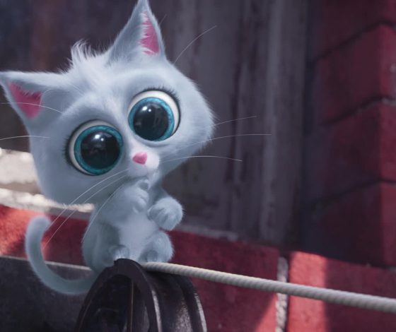 Как слепая кошка стала известным TikTok-мемом