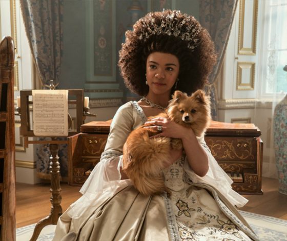 Шпиц из Москвы набрал почти 70 млн просмотров в TikTok