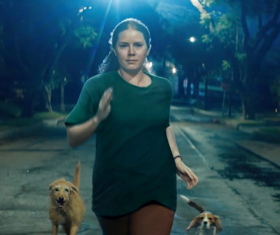 3 новых черных комедии для тех, кому понравился «Компаньон» с Софи Тэтчер