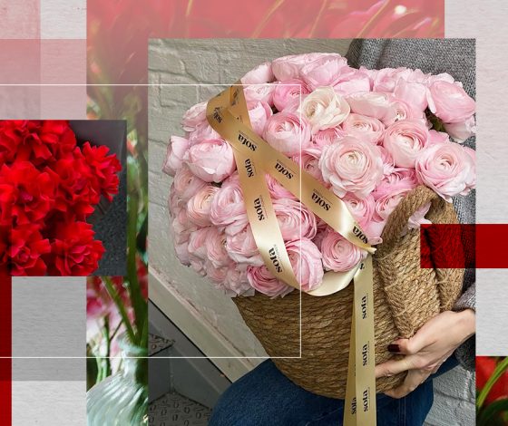 Не розой в целлофане единой: какие цветы дарить любимой