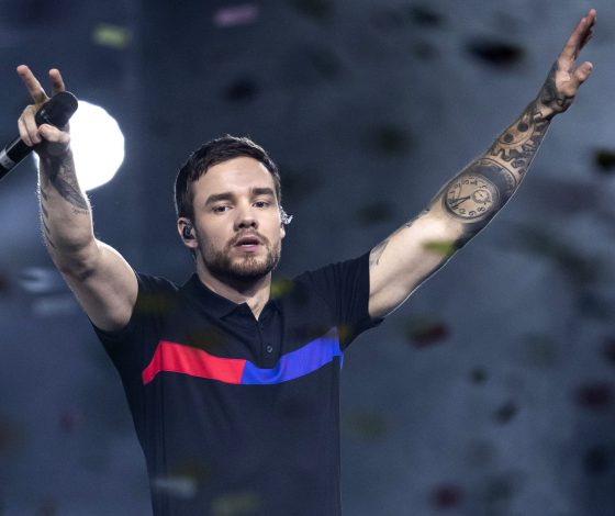 Отец Лиама Пейна пытался отправить сына на принудительное лечение