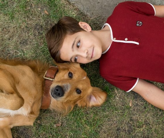 Животные могут получить собственную номинацию на «Оскар»