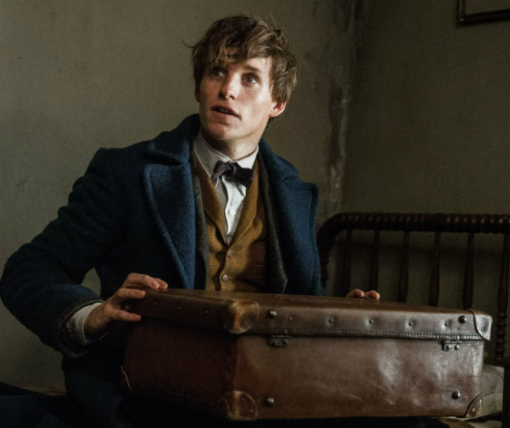 Пользователи TikTok выяснили, что происходит с потерянным багажом, и получили новую фобию