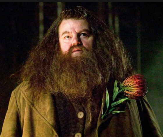 Стало известно, кто сыграет Хагрида в сериале по «Гарри Поттеру»