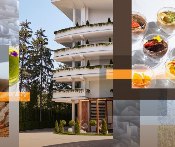 Покоренная нарзаном: как я провела 3 дня на детоксе в Кисловодске