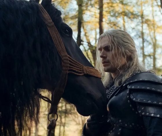 Умер конь, исполнивший роль Плотвы в «Ведьмаке»