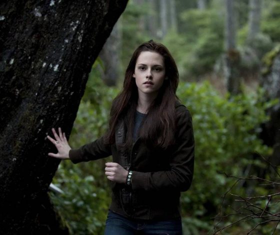 Тест: выживешь ли ты в лесу?