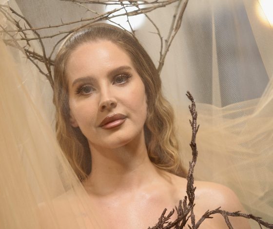 Фанаты Ланы Дель Рей боятся, что муж лишит ее состояния