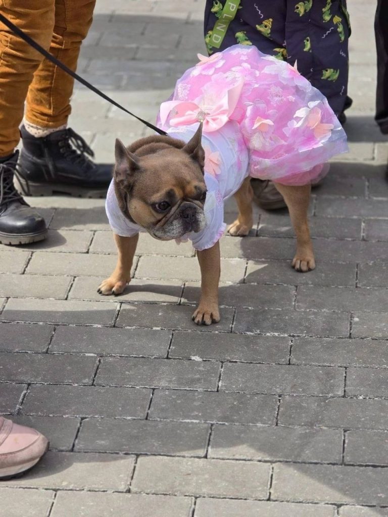 Фото: социальные сети