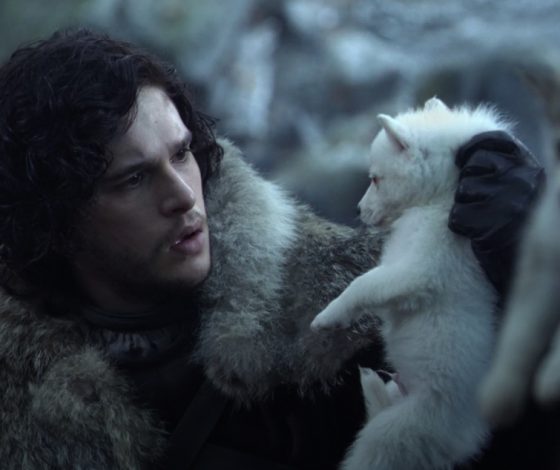 Ученые возродили лютоволков из сериала «Игра престолов»