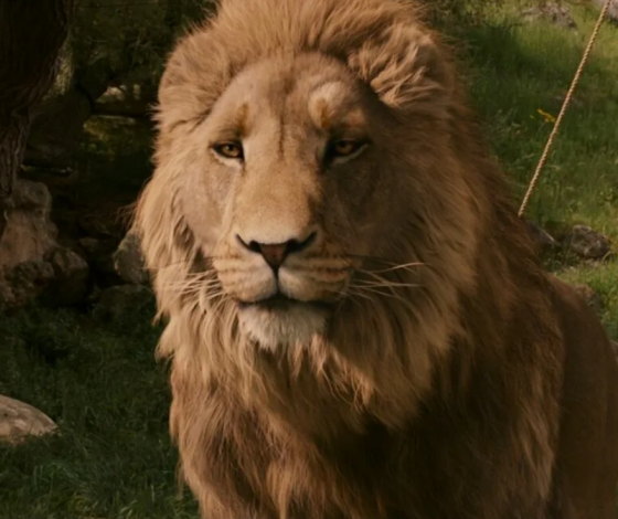 В Сети критикуют выбор звезды на роль льва Аслана в новых «Хрониках Нарнии»