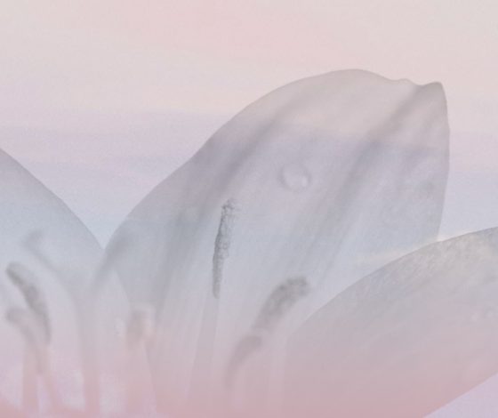 За рождение: фертильность