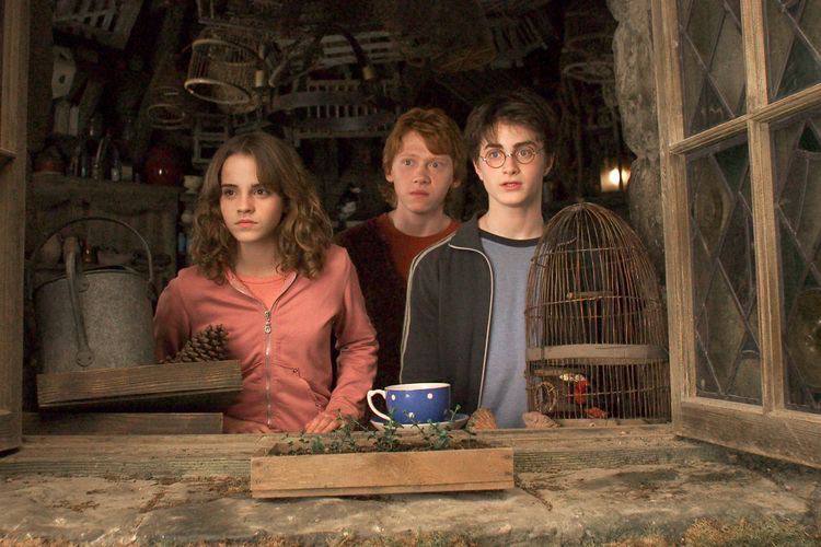 Casting was declared closed for the main roles of the series in Harry Potter