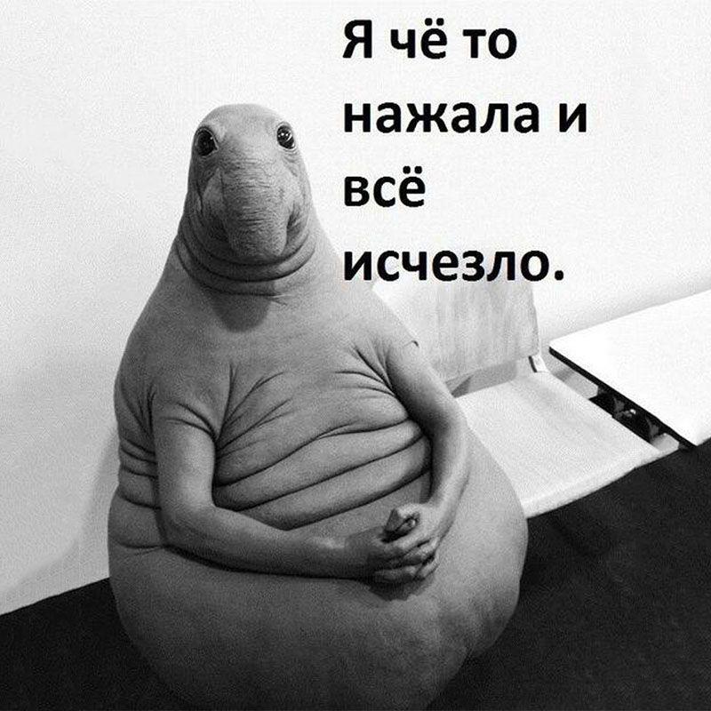 Photo: Social Networks