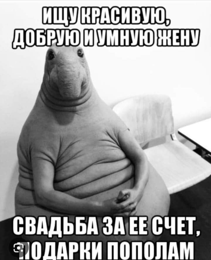 Photo: Social Networks
