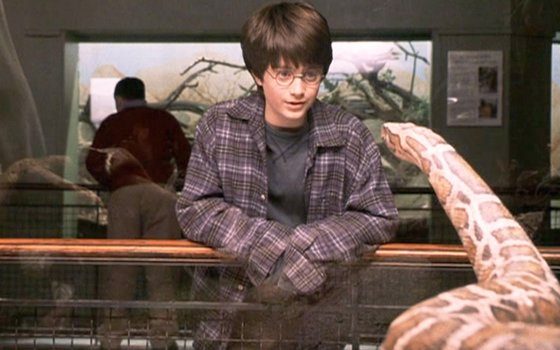 Тест: выбери змею, а мы скажем, кто ты в коллективе