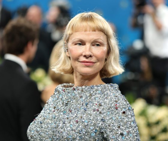 Памела Андерсон прокомментировала свои отношения с Лиамом Нисоном