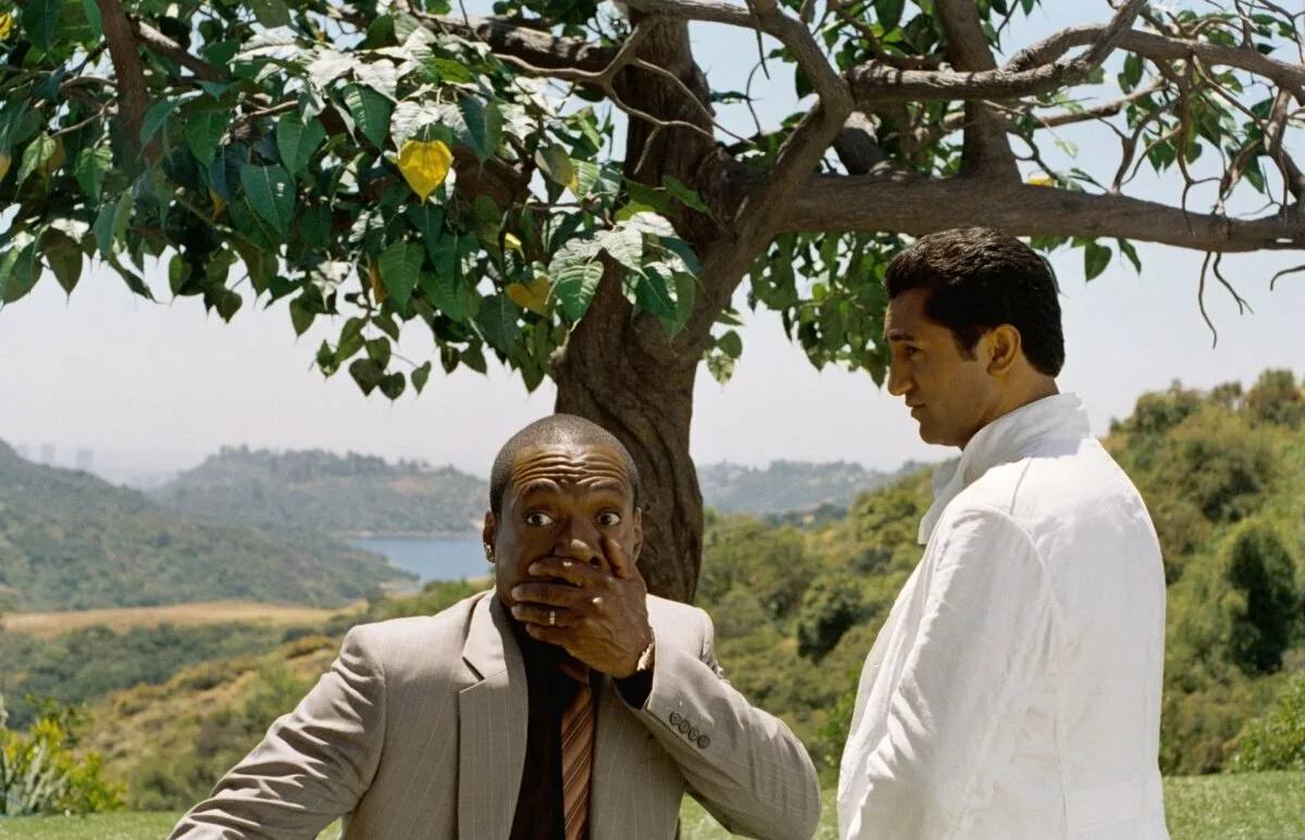 The guest of the Cannes Film Festival was taken to hospital due to the fall of the palm tree