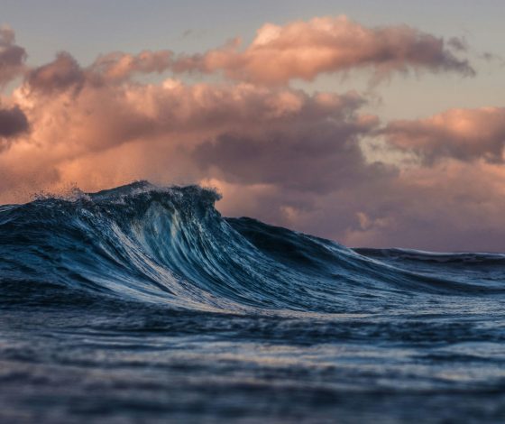 Океан становится темнее – ученые