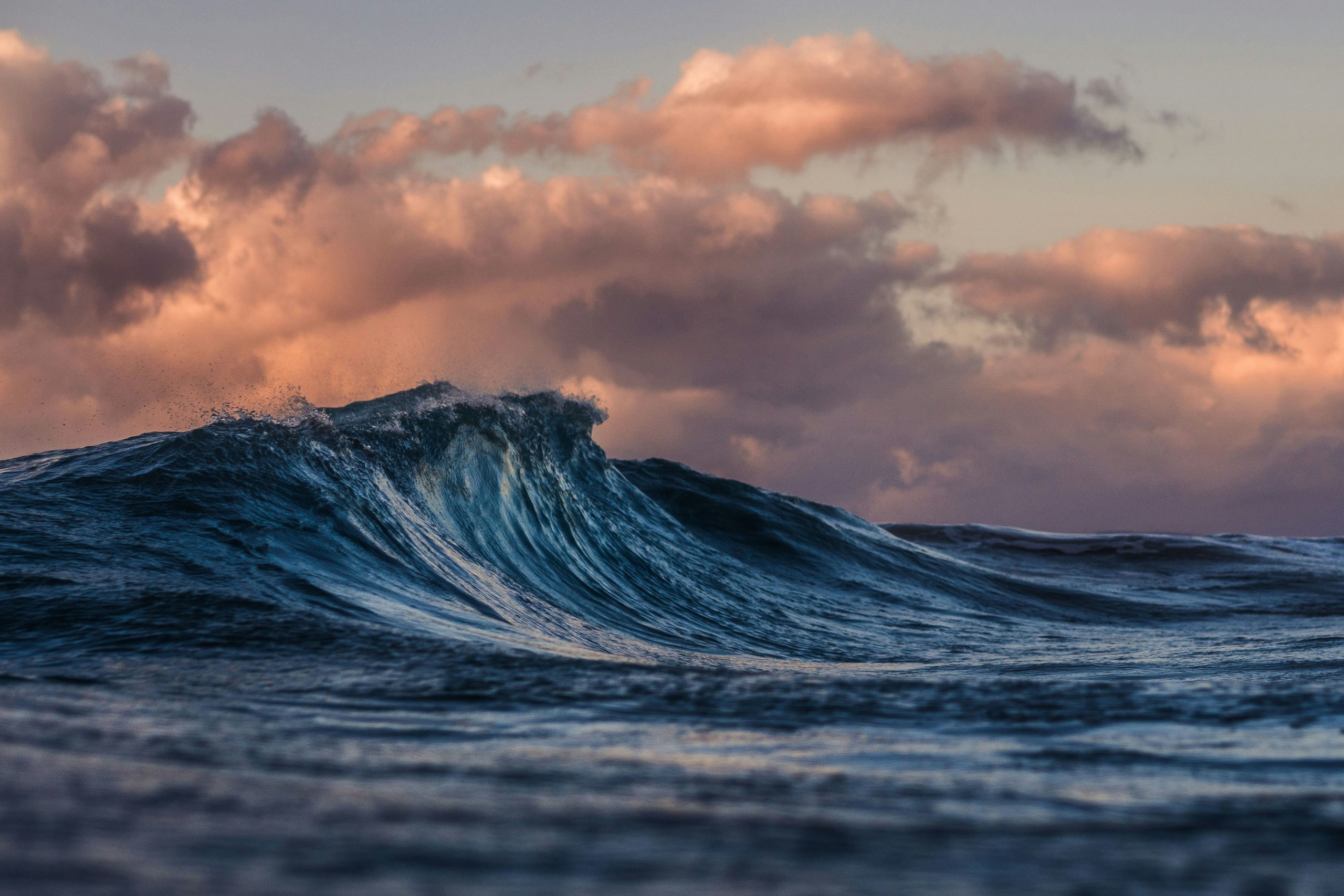 The ocean is getting dark – scientists