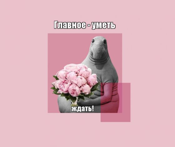 Мемы, которые пошатнули нашу психику