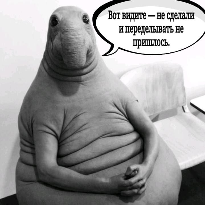 Photo: Social Networks